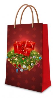 Punga cadou 15x26x8.5 cm ( L x H x l ) 