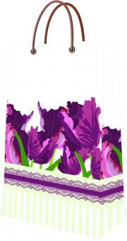 Punga cadou 23x38x10 cm ( L x H x l ) 