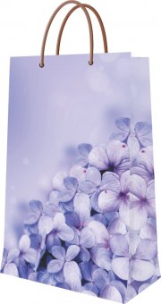 Punga cadou 23x38x10 cm ( L x H x l ) 