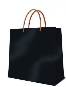 Punga cadou patrata 23.5x24x10 cm ( L x H x l ) 